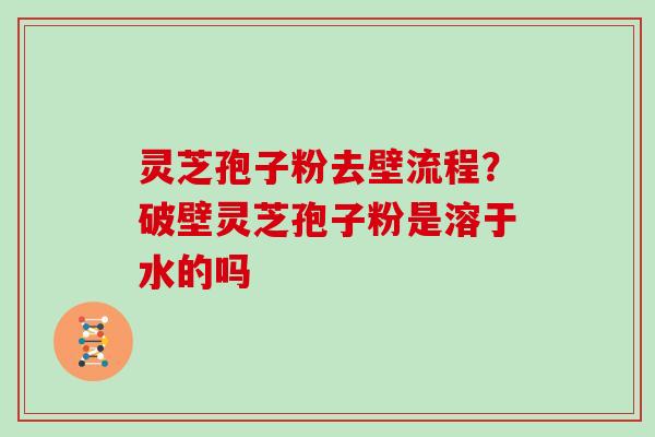 灵芝孢子粉去壁流程?破壁灵芝孢子粉是溶于水的吗