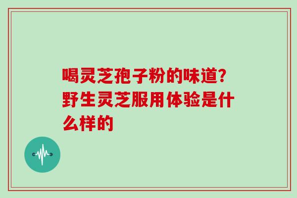 喝灵芝孢子粉的味道?野生灵芝服用体验是什么样的