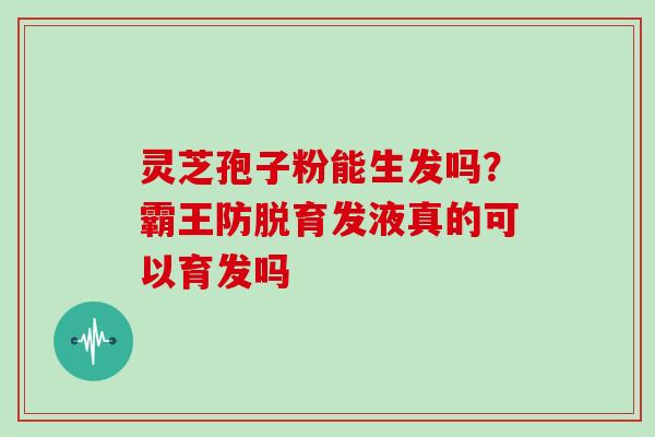 灵芝孢子粉能生发吗?霸王防脱育发液真的可以育发吗