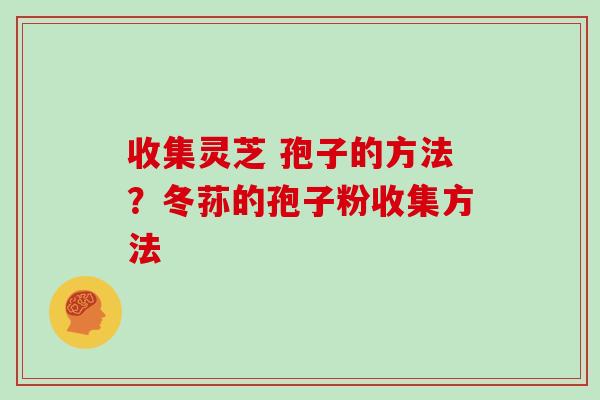收集灵芝 孢子的方法？冬荪的孢子粉收集方法