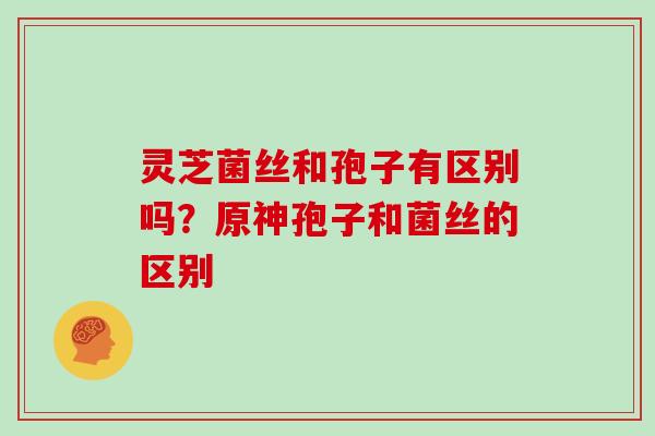 灵芝菌丝和孢子有区别吗?原神孢子和菌丝的区别