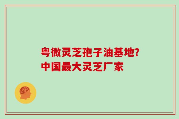粤微灵芝孢子油基地?中国最大灵芝厂家