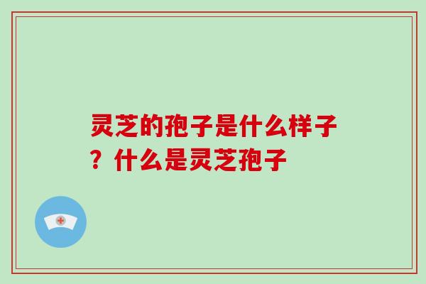 灵芝的孢子是什么样子?什么是灵芝孢子