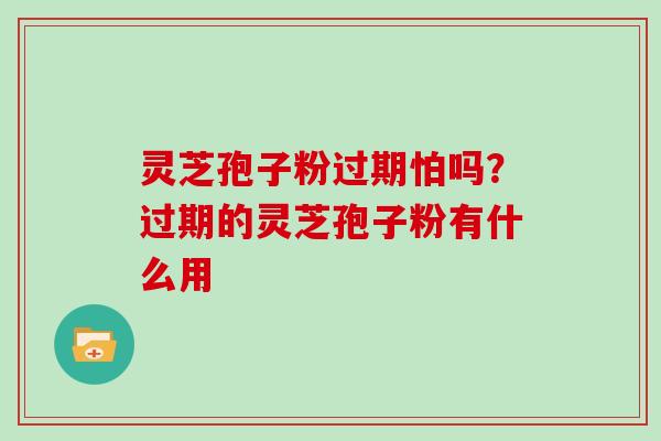 灵芝孢子粉过期怕吗?过期的灵芝孢子粉有什么用