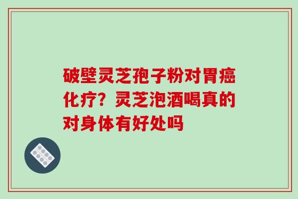 破壁灵芝孢子粉对胃癌化疗?灵芝泡酒喝真的对身体有好处吗