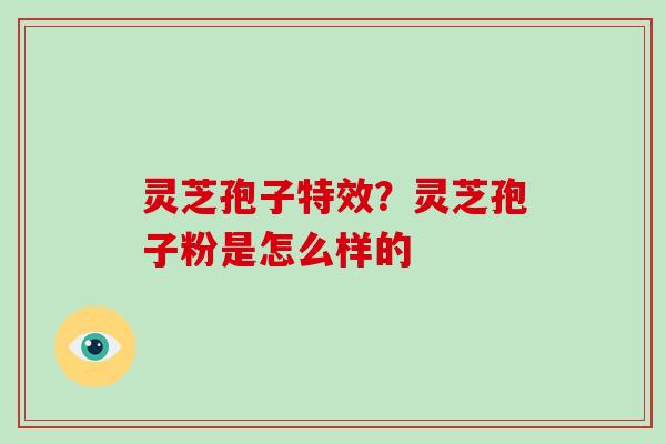 灵芝孢子特效？灵芝孢子粉是怎么样的