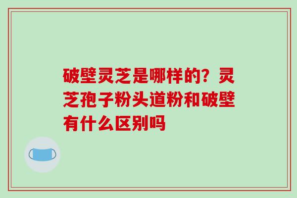 破壁灵芝是哪样的?灵芝孢子粉头道粉和破壁有什么区别吗