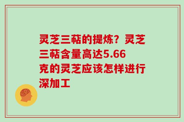 灵芝三萜的提炼？灵芝三萜含量高达5.66克的灵芝应该怎样进行深加工
