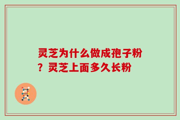 灵芝为什么做成孢子粉？灵芝上面多久长粉