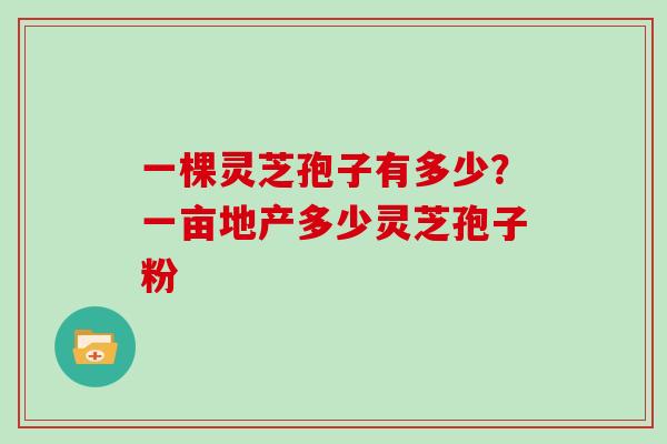 一棵灵芝孢子有多少?一亩地产多少灵芝孢子粉