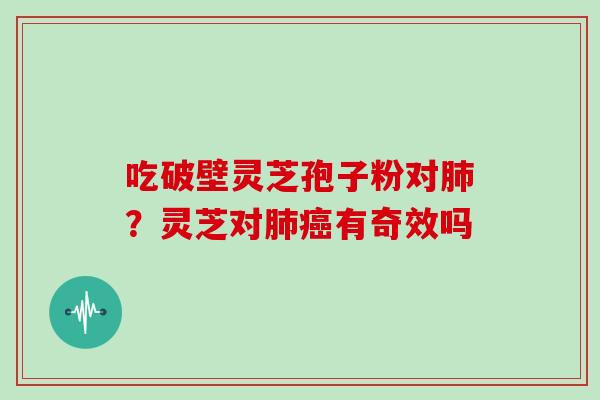 吃破壁灵芝孢子粉对肺?灵芝对肺癌有奇效吗