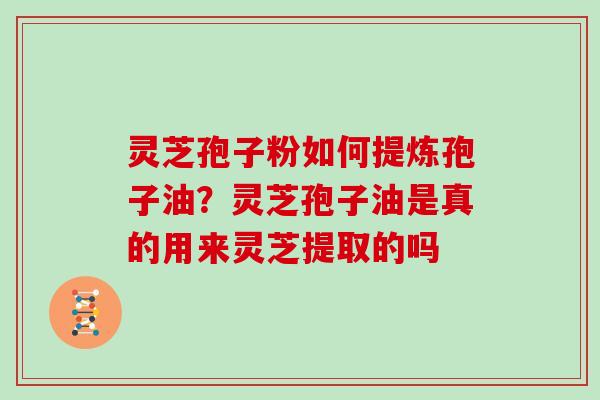 灵芝孢子粉如何提炼孢子油?灵芝孢子油是真的用来灵芝提取的吗