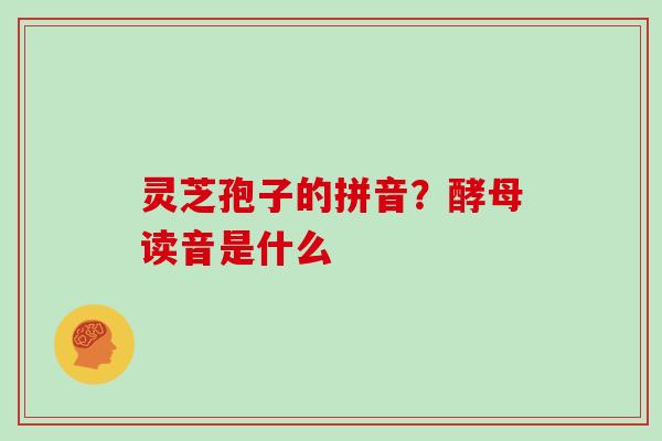 灵芝孢子的拼音?酵母读音是什么