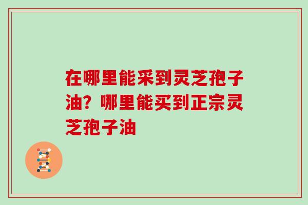 在哪里能采到灵芝孢子油？哪里能买到正宗灵芝孢子油