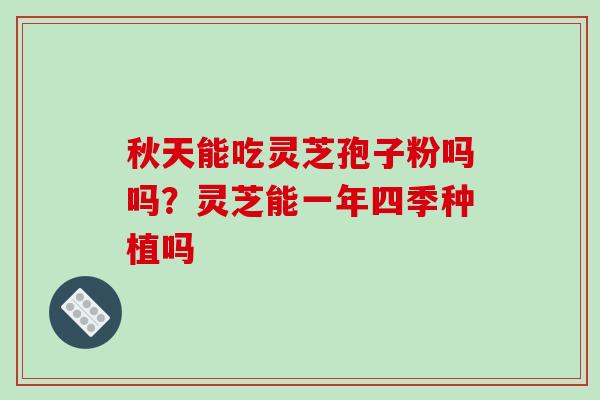 秋天能吃灵芝孢子粉吗吗?灵芝能一年四季种植吗