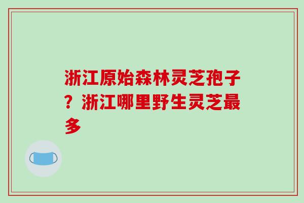 浙江原始森林灵芝孢子？浙江哪里野生灵芝最多