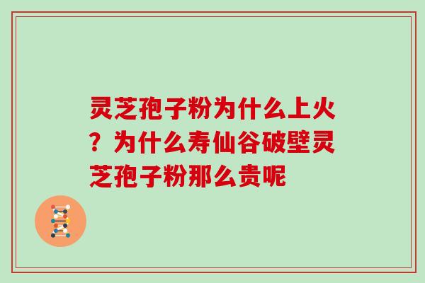 灵芝孢子粉为什么上火？为什么寿仙谷破壁灵芝孢子粉那么贵呢