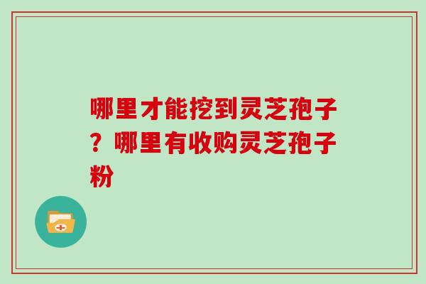 哪里才能挖到灵芝孢子?哪里有收购灵芝孢子粉