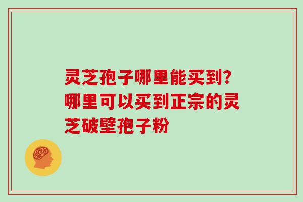 灵芝孢子哪里能买到?哪里可以买到正宗的灵芝破壁孢子粉