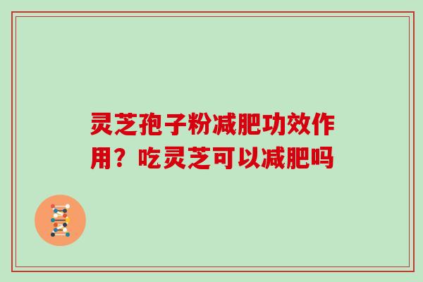 灵芝孢子粉减肥功效作用？吃灵芝可以减肥吗