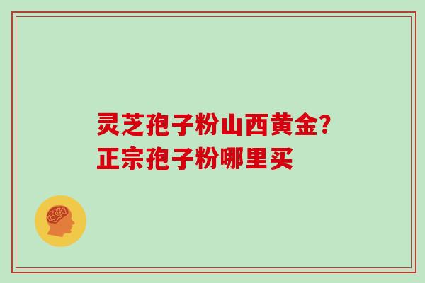 灵芝孢子粉山西黄金？正宗孢子粉哪里买