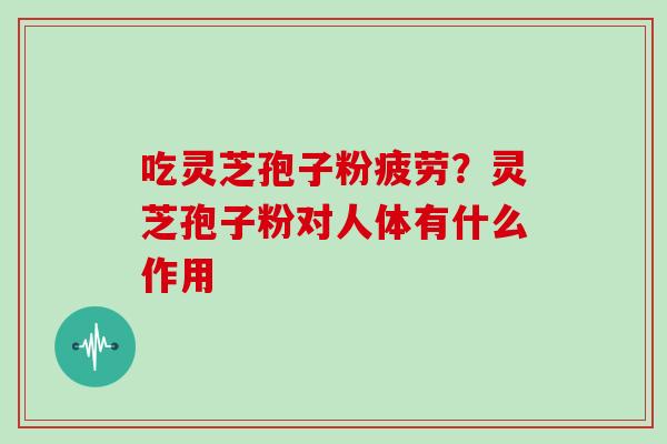 吃灵芝孢子粉疲劳?灵芝孢子粉对人体有什么作用
