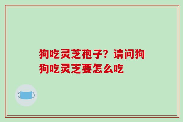 狗吃灵芝孢子?请问狗狗吃灵芝要怎么吃