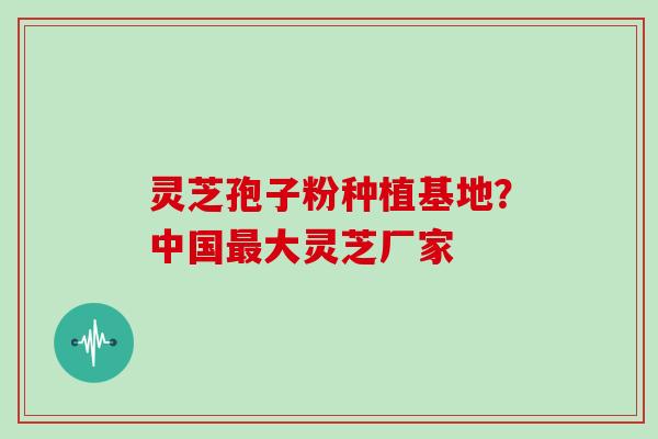 灵芝孢子粉种植基地？中国最大灵芝厂家