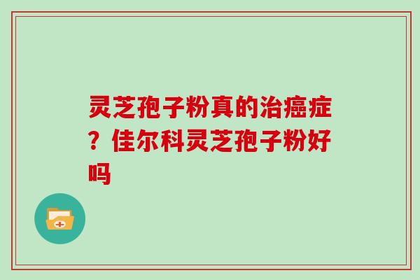 灵芝孢子粉真的治癌症？佳尔科灵芝孢子粉好吗