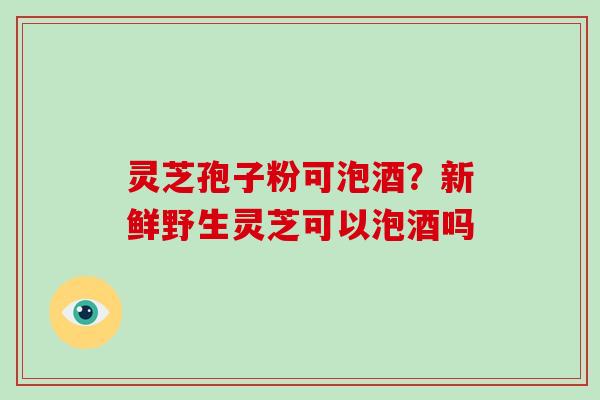 灵芝孢子粉可泡酒?新鲜野生灵芝可以泡酒吗