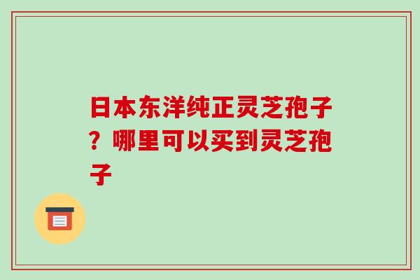日本东洋纯正灵芝孢子?哪里可以买到灵芝孢子