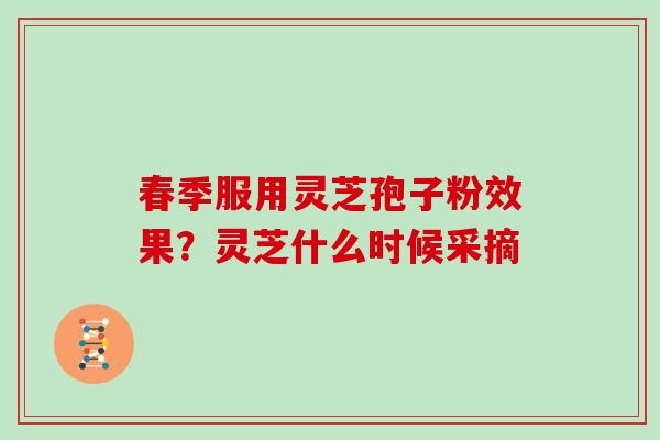 春季服用灵芝孢子粉效果?灵芝什么时候采摘