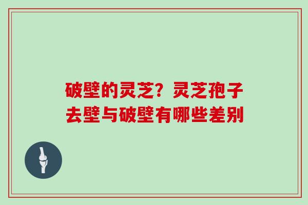 破壁的灵芝？灵芝孢子去壁与破壁有哪些差别