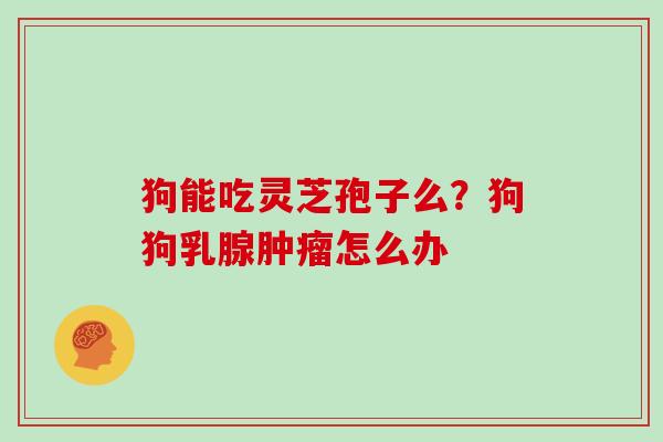 狗能吃灵芝孢子么？狗狗乳腺肿瘤怎么办