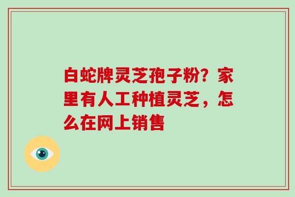白蛇牌灵芝孢子粉?家里有人工种植灵芝,怎么在网上销售