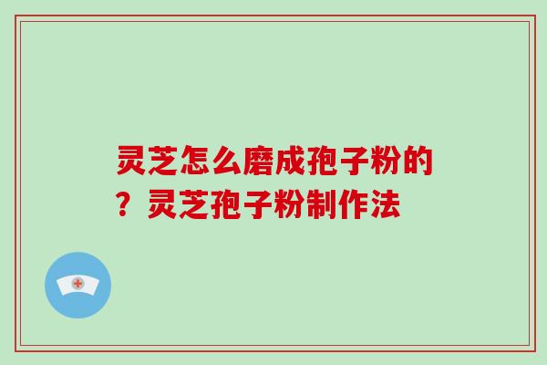 灵芝怎么磨成孢子粉的?灵芝孢子粉制作法
