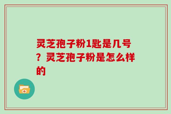 灵芝孢子粉1匙是几号?灵芝孢子粉是怎么样的