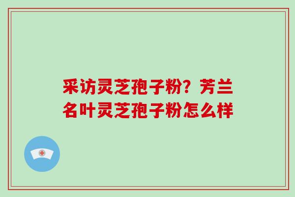 采访灵芝孢子粉?芳兰名叶灵芝孢子粉怎么样