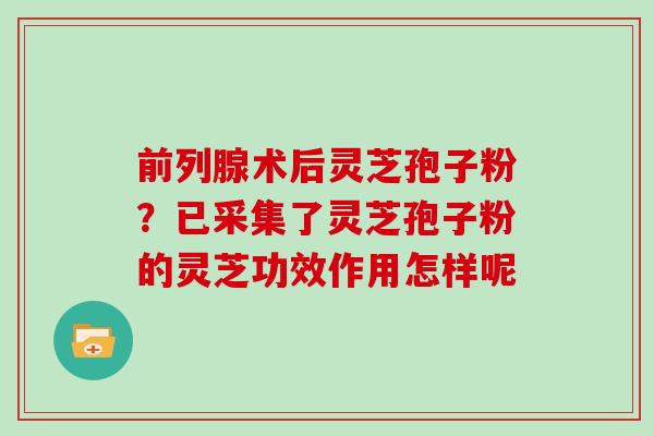 前列腺术后灵芝孢子粉?已采集了灵芝孢子粉的灵芝功效作用怎样呢