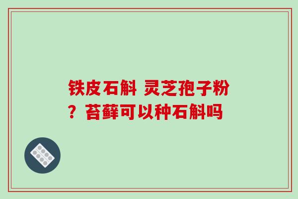 铁皮石斛 灵芝孢子粉？苔藓可以种石斛吗