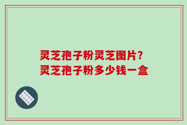 灵芝孢子粉灵芝图片？灵芝孢子粉多少钱一盒