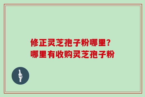 修正灵芝孢子粉哪里？哪里有收购灵芝孢子粉