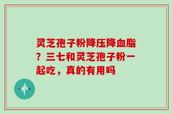 灵芝孢子粉降压降血脂?三七和灵芝孢子粉一起吃,真的有用吗