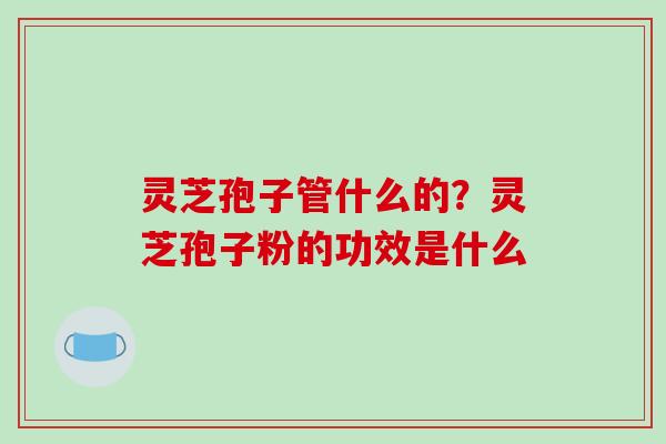 灵芝孢子管什么的?灵芝孢子粉的功效是什么