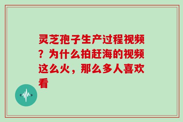 灵芝孢子生产过程视频？为什么拍赶海的视频这么火，那么多人喜欢看