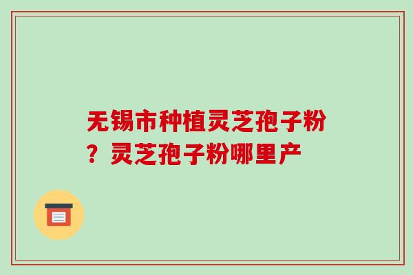 无锡市种植灵芝孢子粉?灵芝孢子粉哪里产
