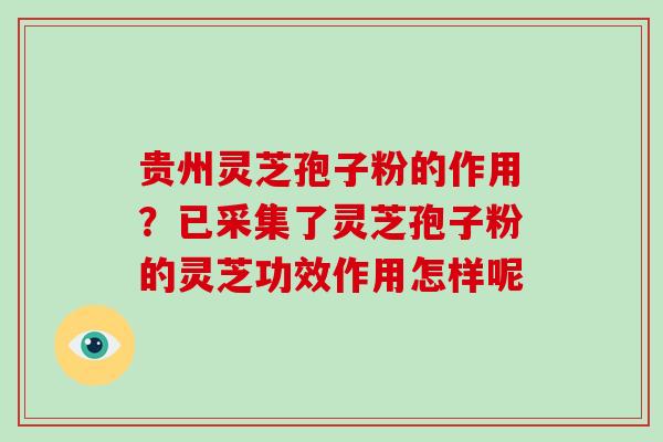 贵州灵芝孢子粉的作用?已采集了灵芝孢子粉的灵芝功效作用怎样呢