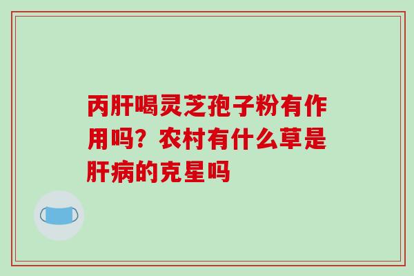 丙肝喝灵芝孢子粉有作用吗?农村有什么草是肝病的克星吗