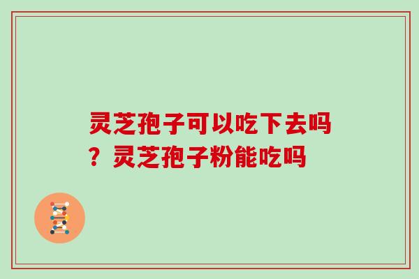 灵芝孢子可以吃下去吗?灵芝孢子粉能吃吗