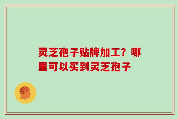 灵芝孢子贴牌加工？哪里可以买到灵芝孢子